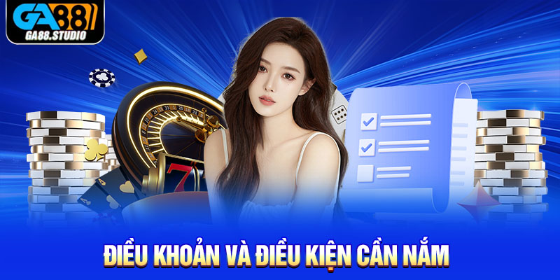 Điều khoản và điều kiện cần nắm